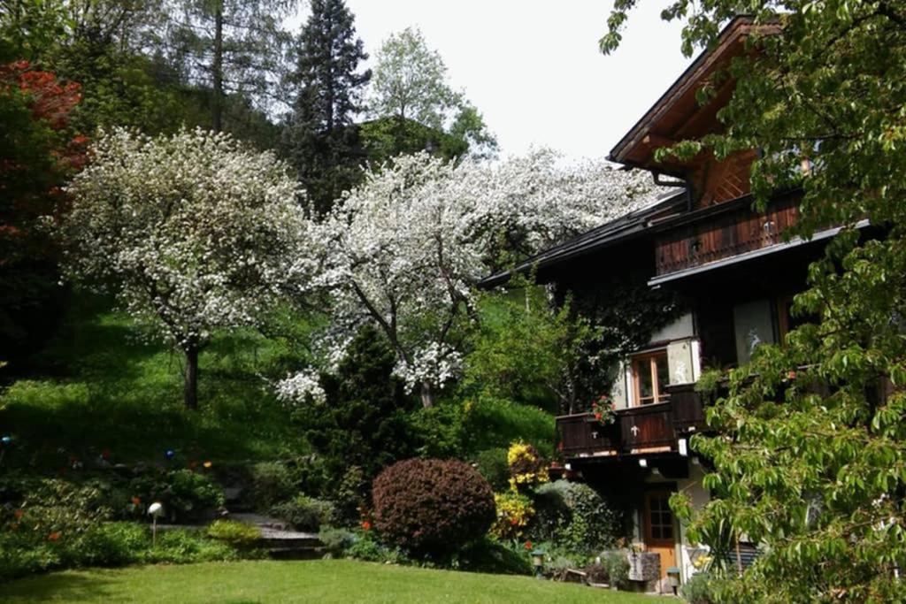Alpenrelax Haus Weidmannsheil Wohnen Im Romantischen Forsthaus Werfen Eksteriør billede