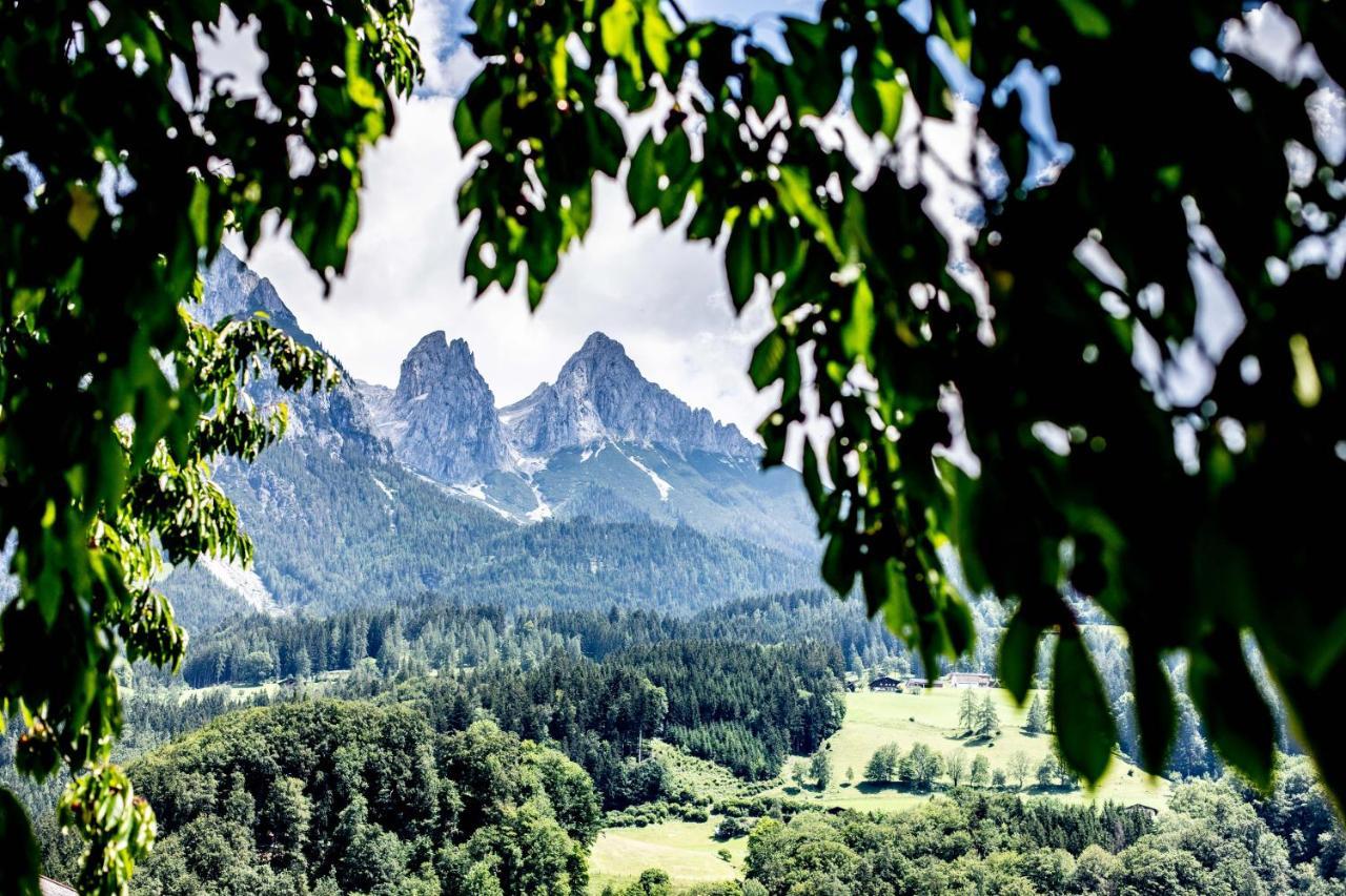Alpenrelax Haus Weidmannsheil Wohnen Im Romantischen Forsthaus Werfen Eksteriør billede