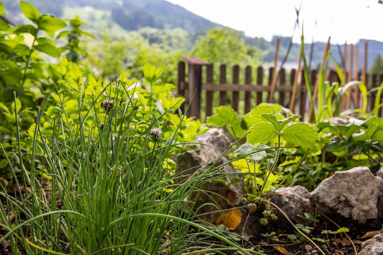 Alpenrelax Haus Weidmannsheil Wohnen Im Romantischen Forsthaus Werfen Eksteriør billede